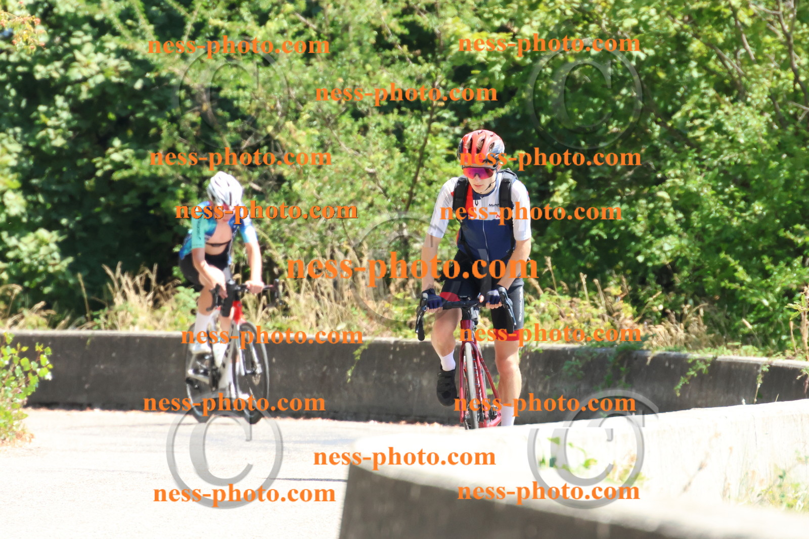 Col du Grand Colombier (532).JPG