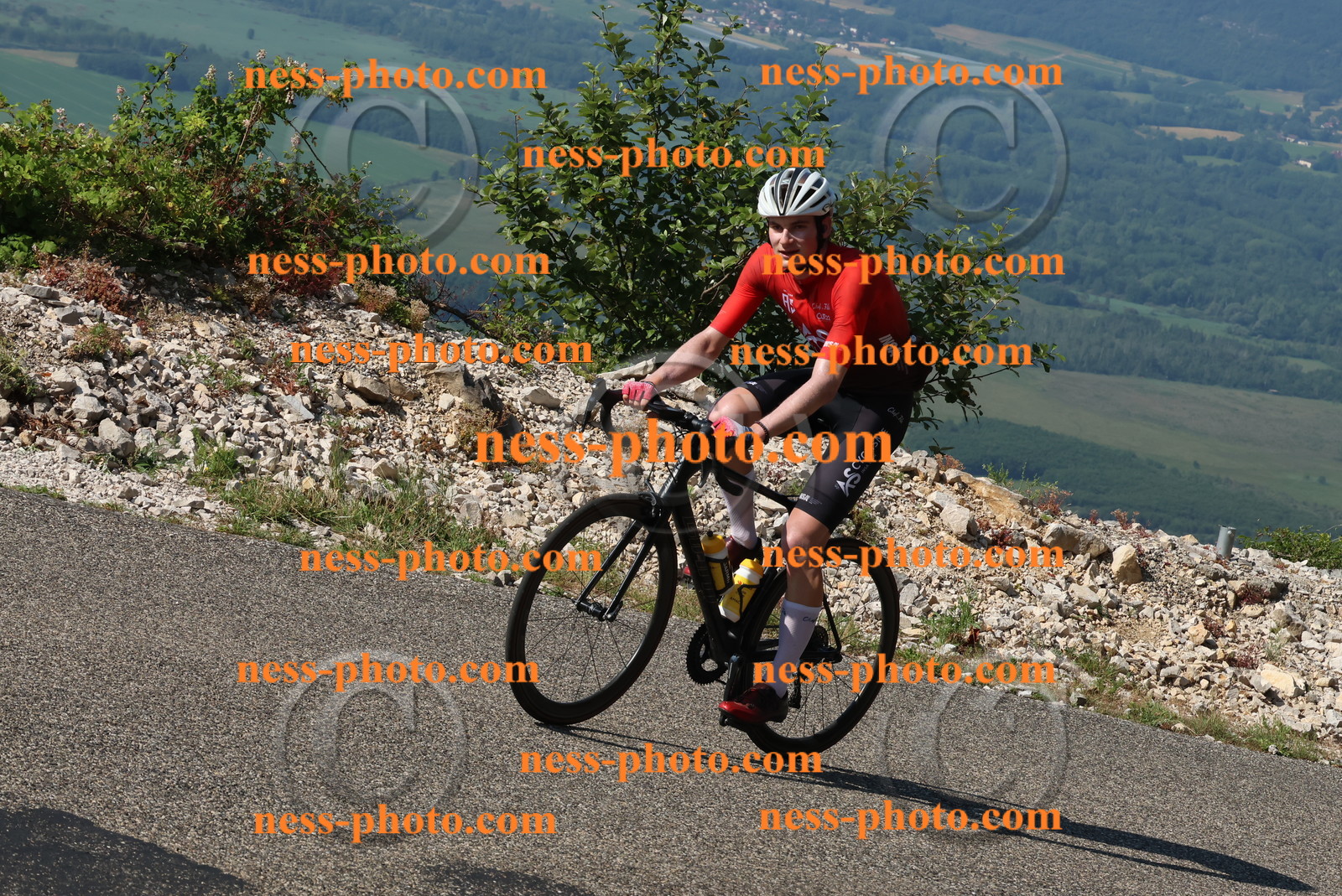 Col du Grand Colombier (186).JPG