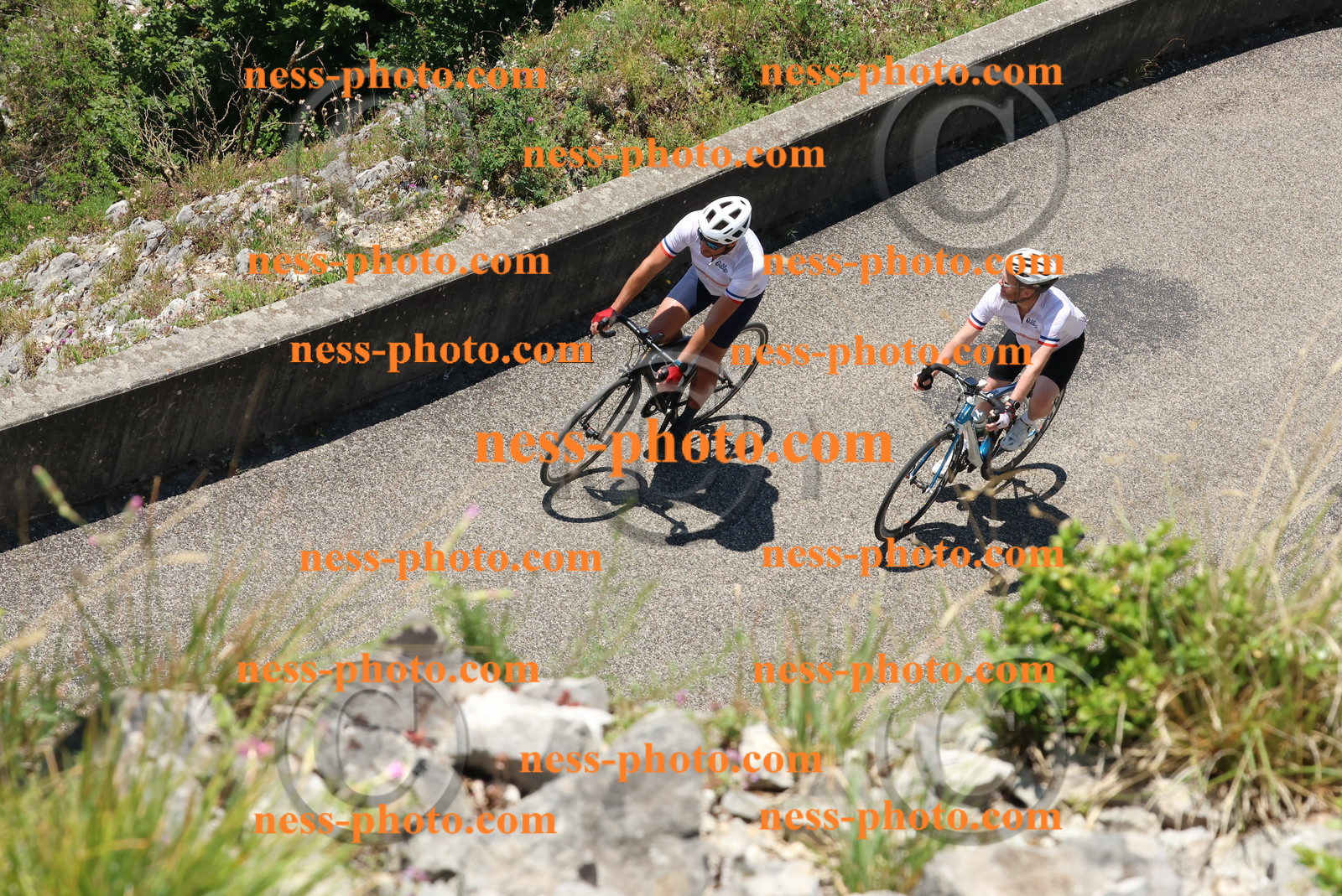 Col du Grand Colombier (501).JPG