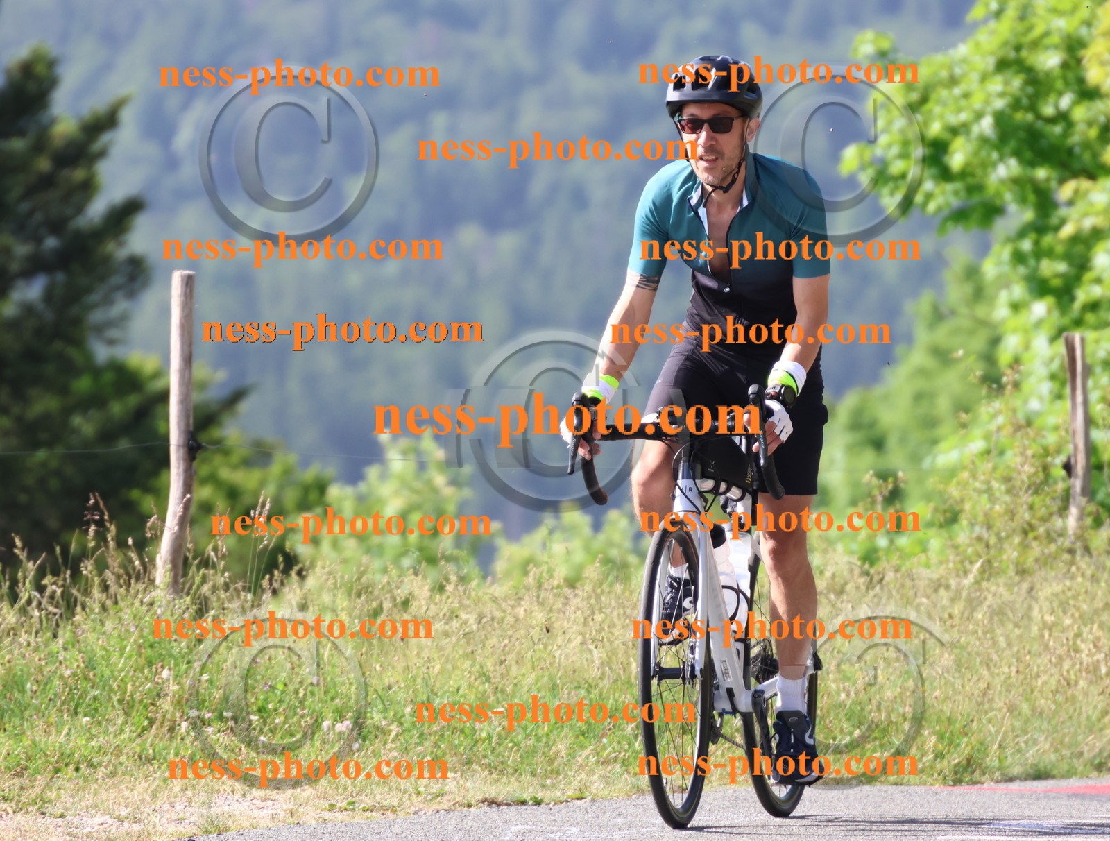 Col du grand Colombier (176).JPG