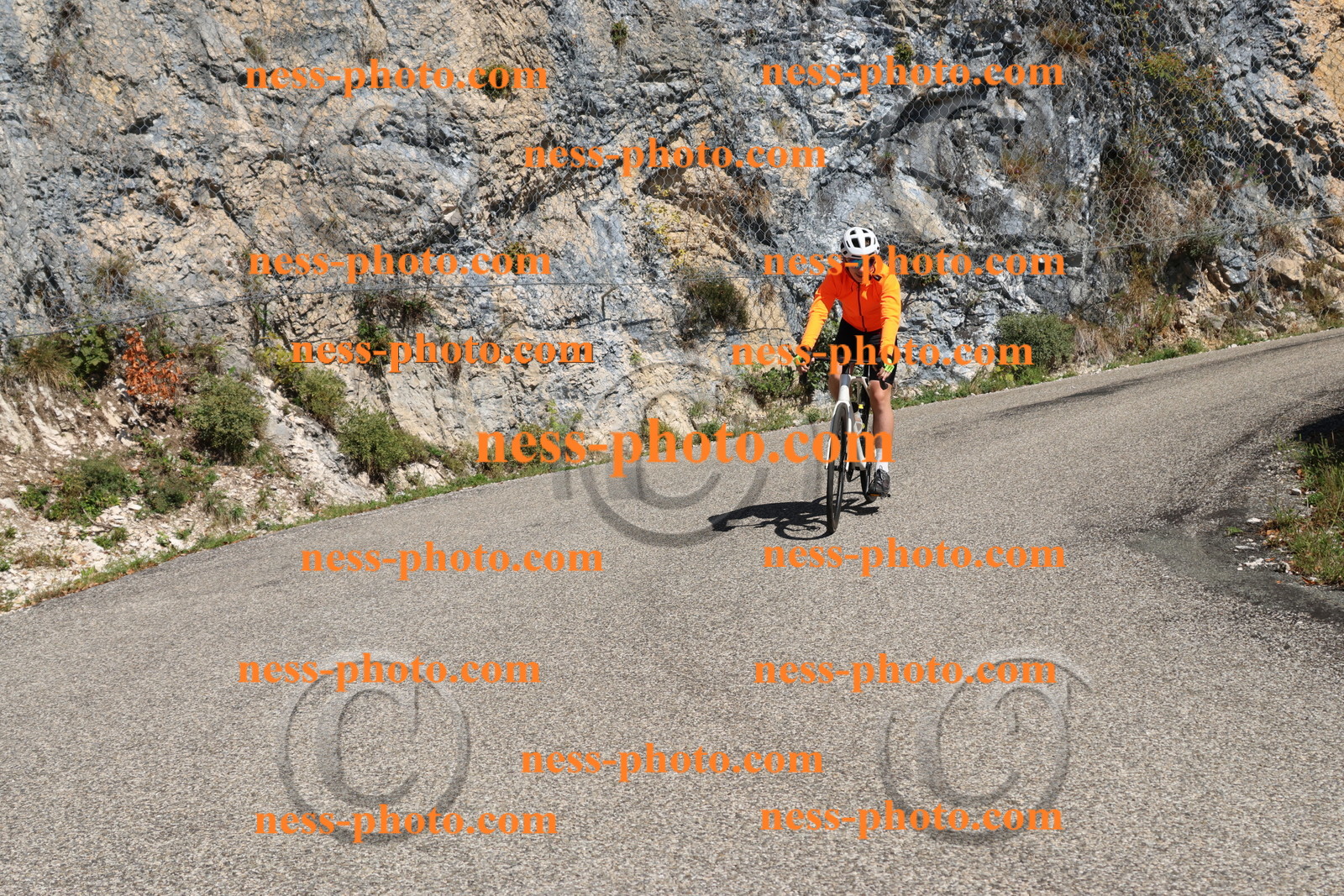 Col du Grand Colombier (418).JPG