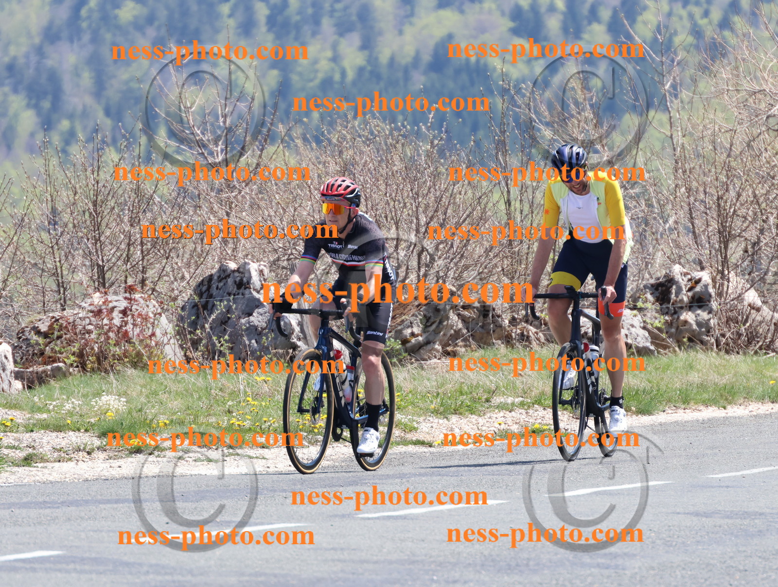 Col du Grand Colombier (865).JPG