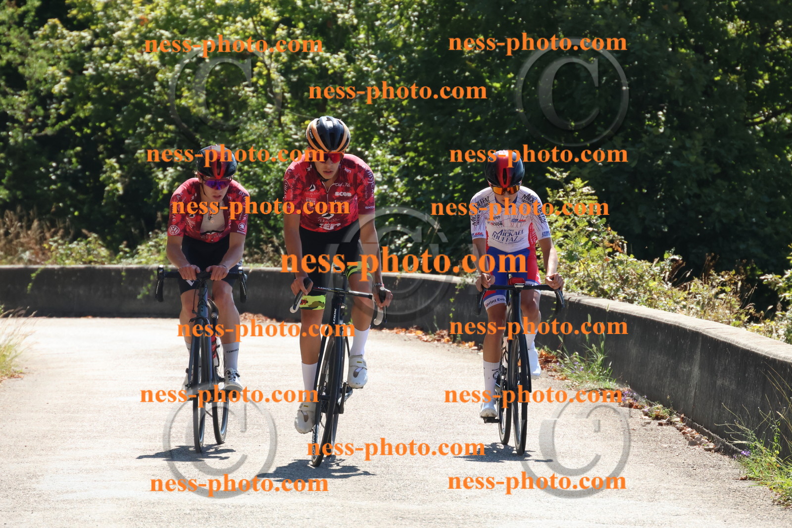 Col du Grand Colombier (102).JPG