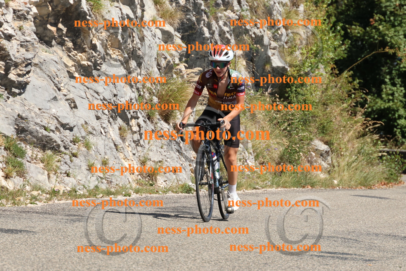 Col du Grand Colombier (622).JPG