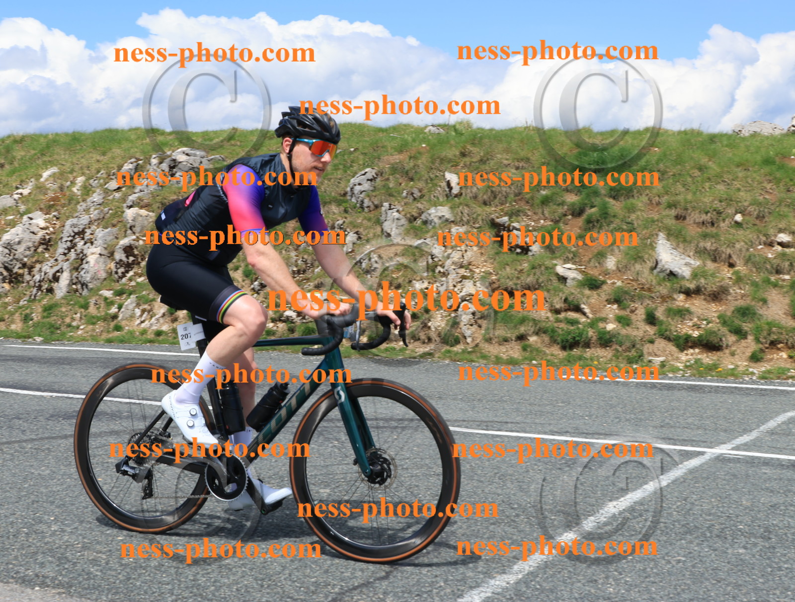 Col du Grand Colombier (2582).JPG