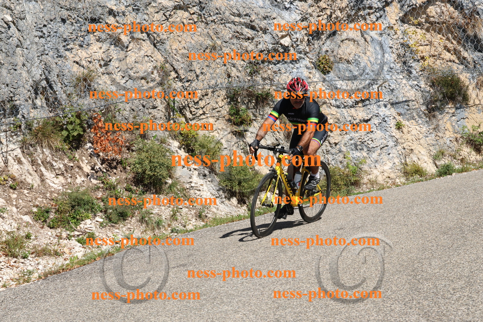 Col du Grand Colombier (405).JPG