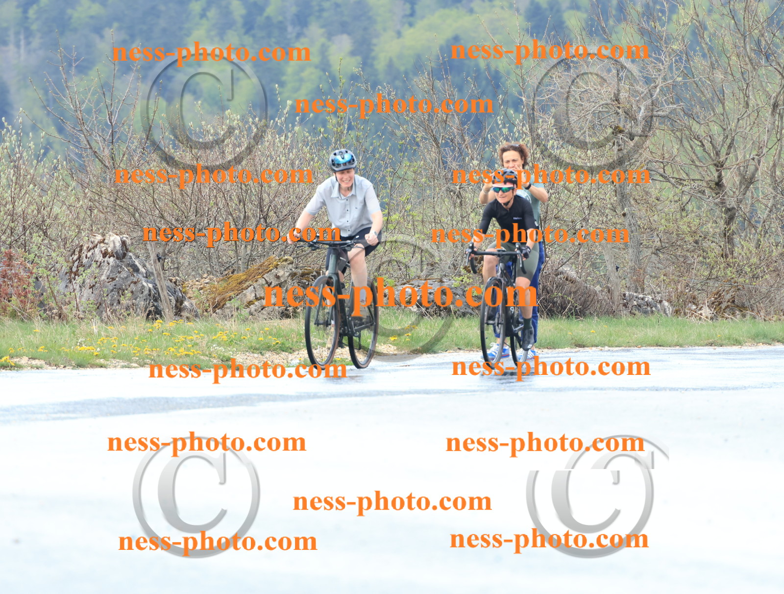 Col du Grand Colombier (223).JPG