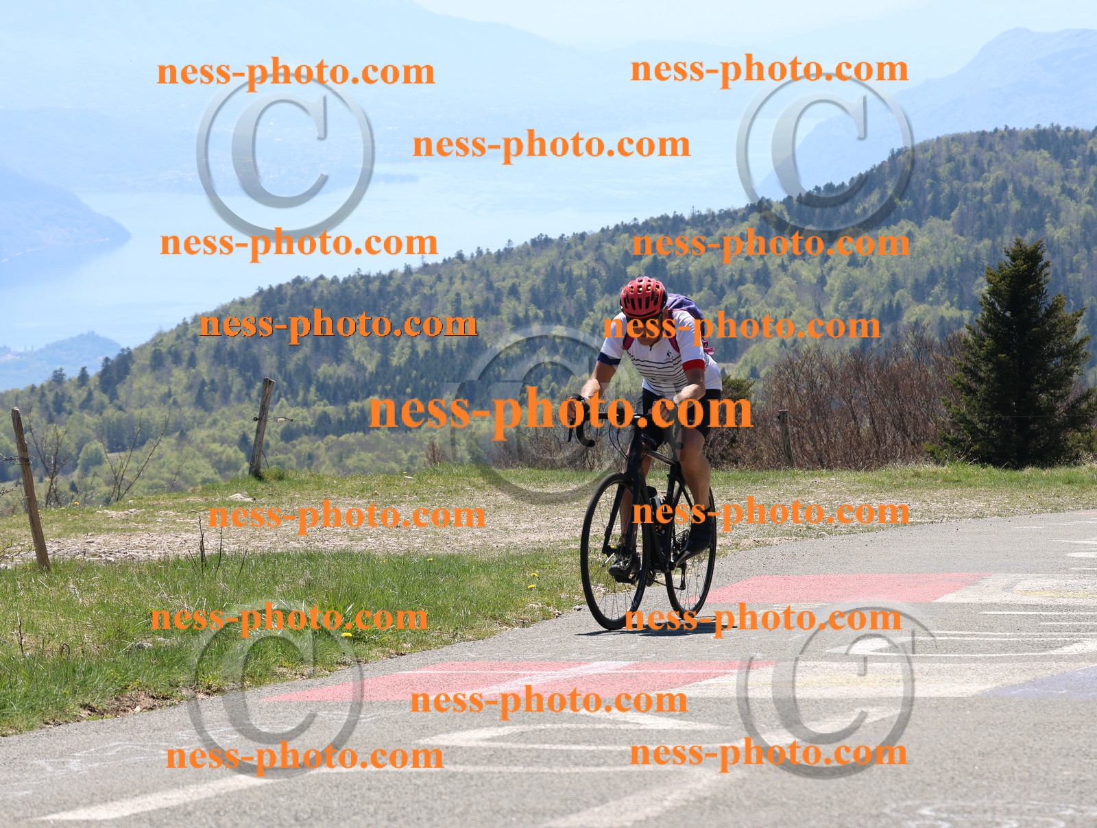 Col du Grand Colombier (424).JPG
