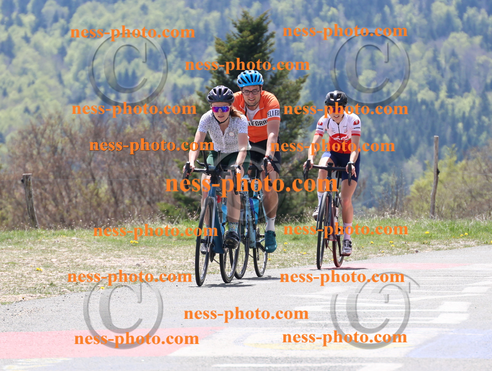 Col du Grand Colombier (363).JPG