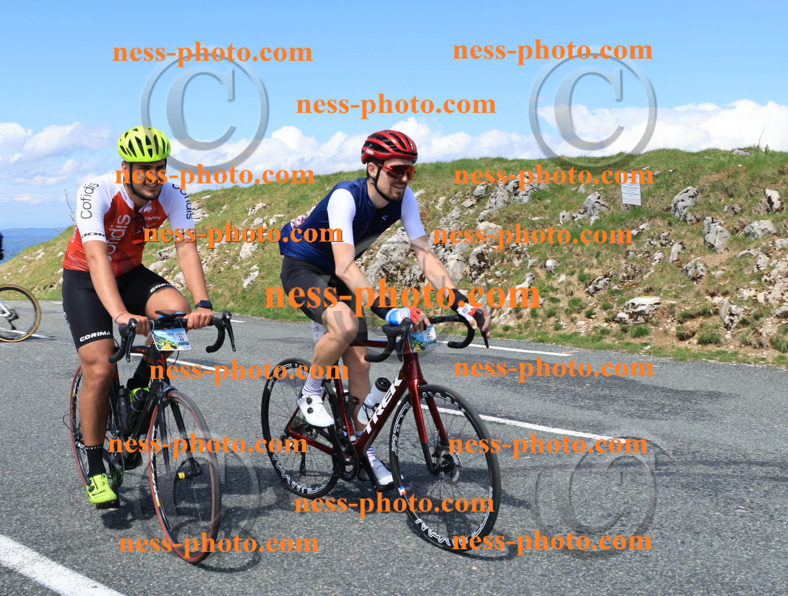 Col du Grand Colombier (2164).JPG