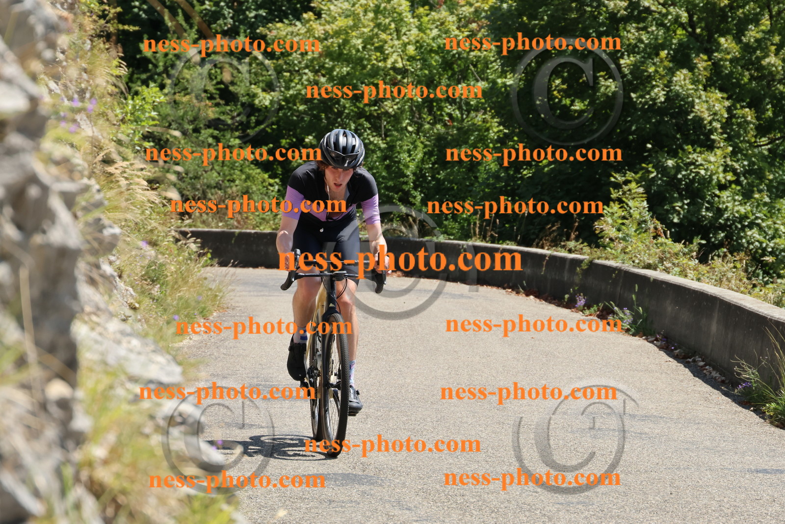 Col du Grand Colombier (351).JPG