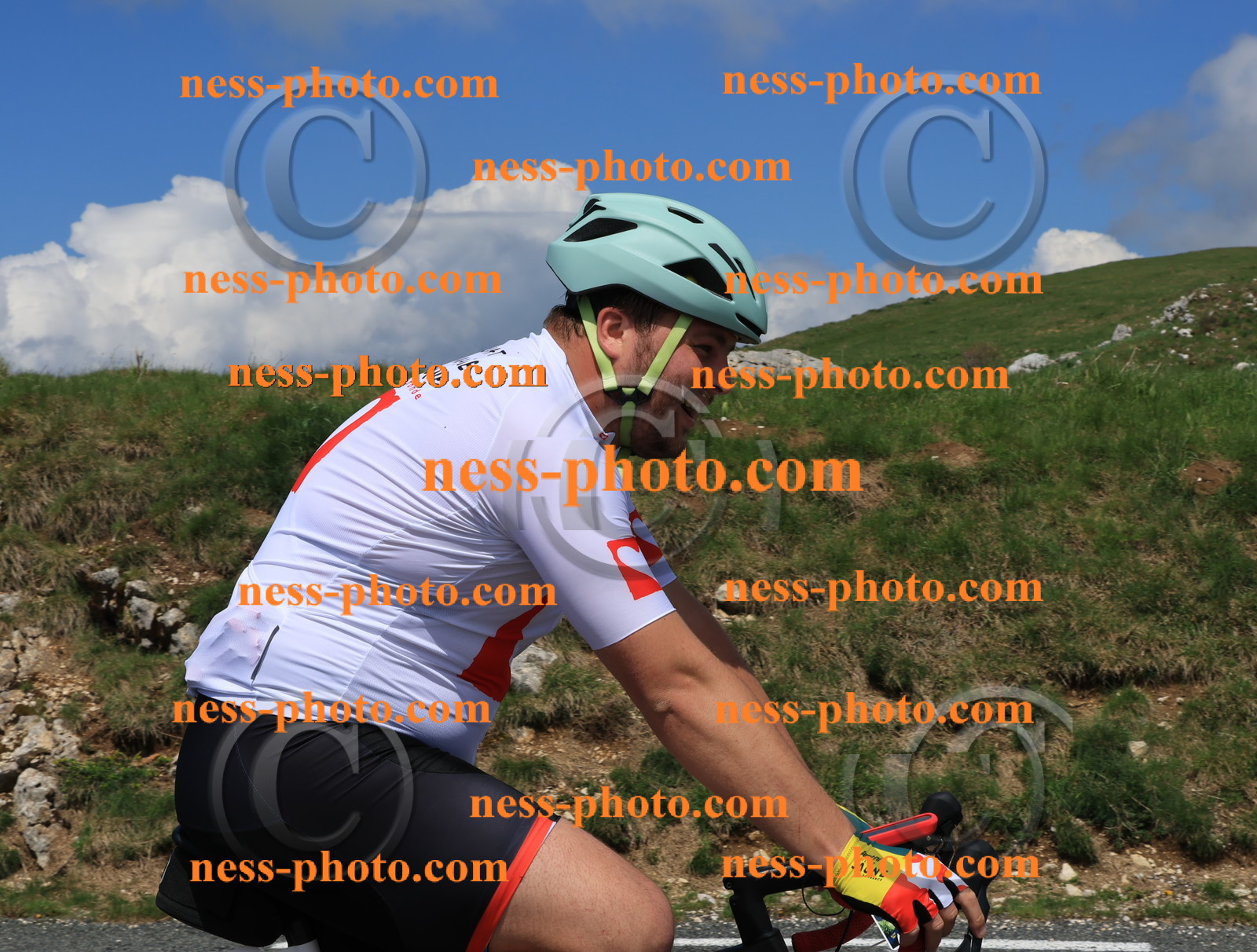 Col du Grand Colombier (2407).JPG