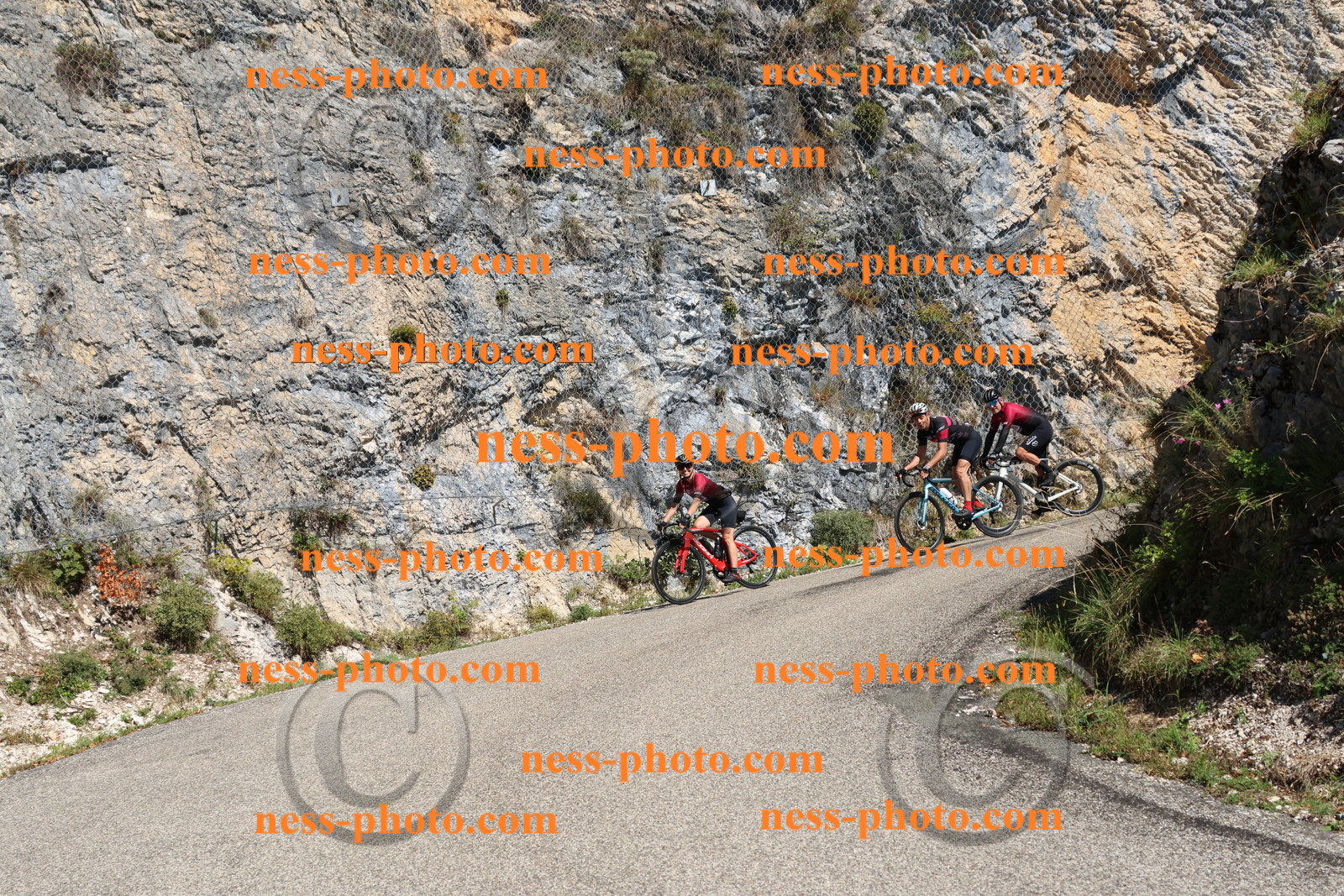 Col du Grand Colombier (434).JPG