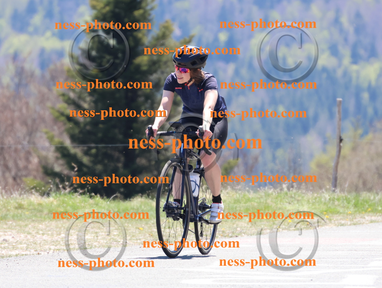 Col du Grand Colombier (654).JPG