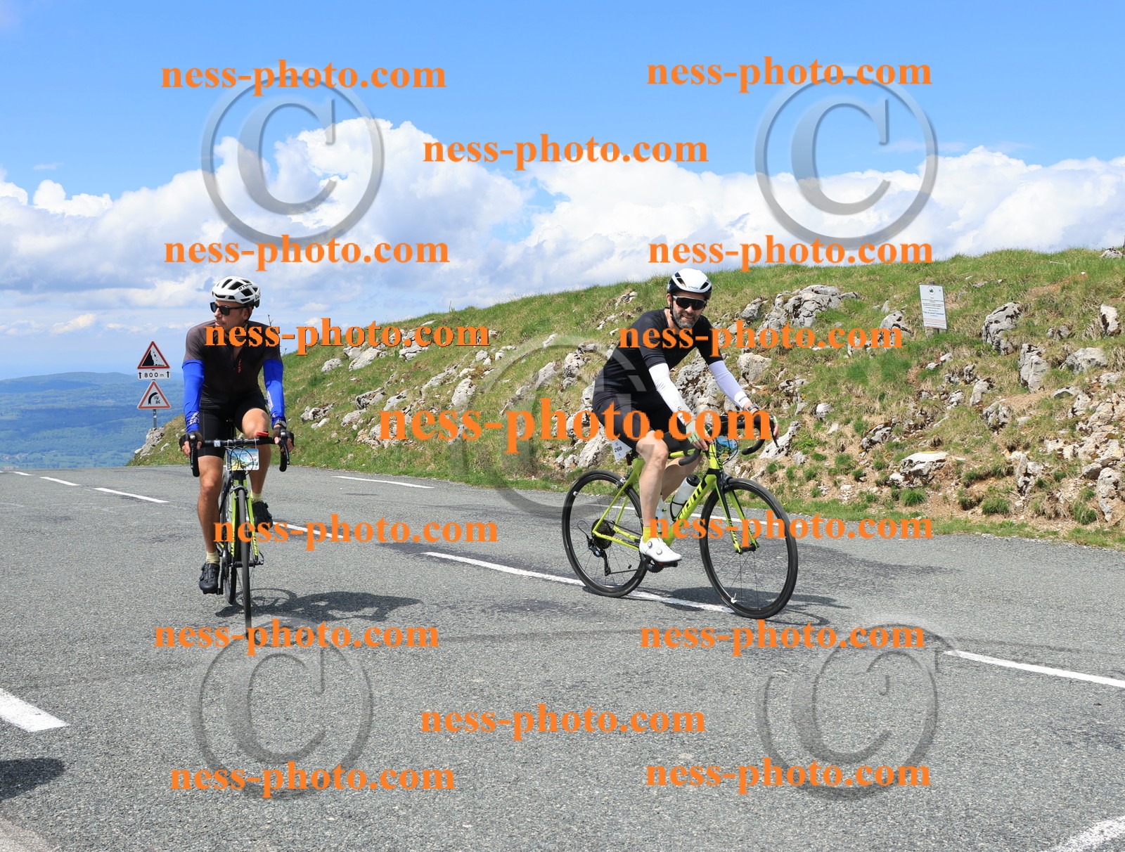 Col du Grand Colombier (2681).JPG