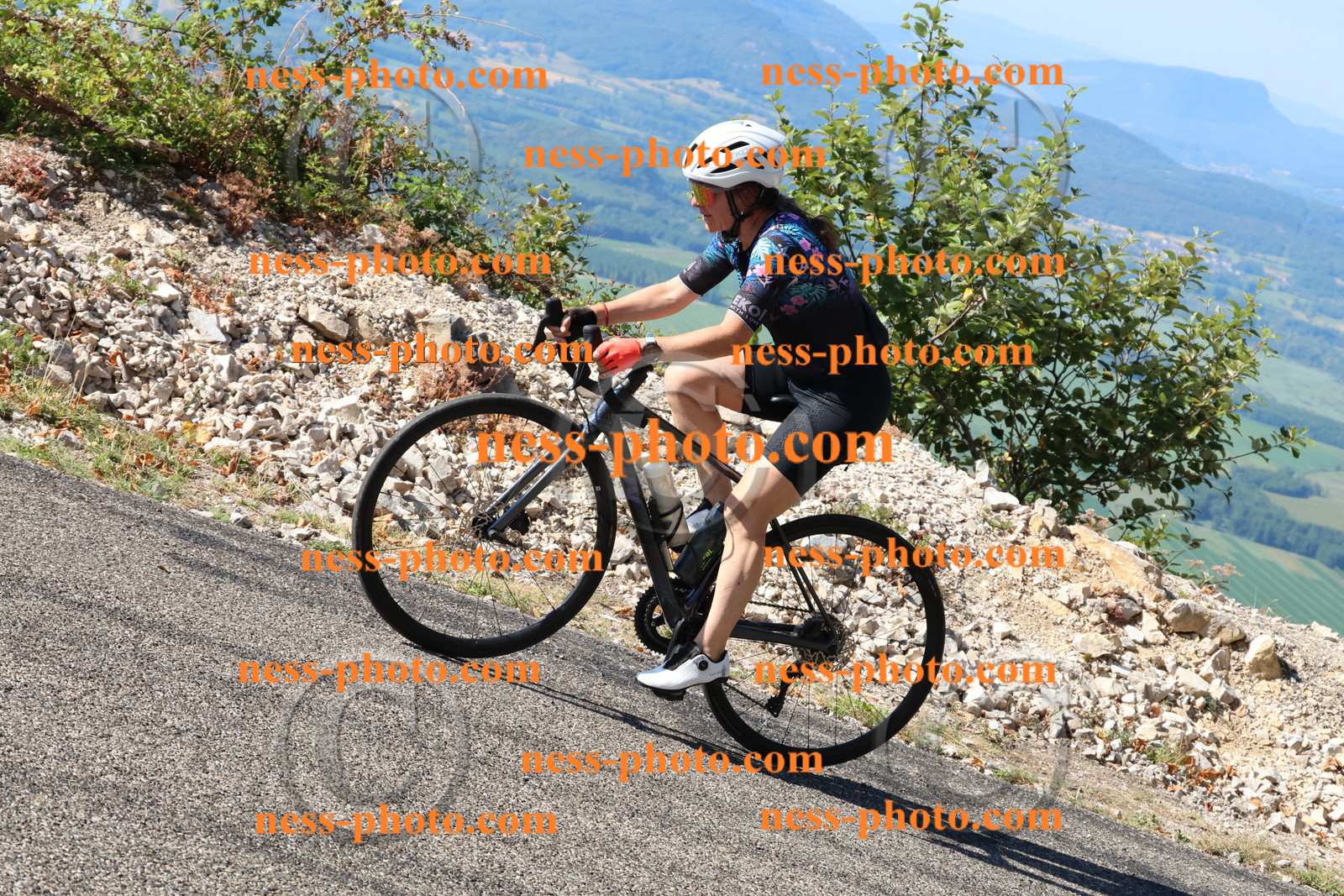 Col du Grand Colombier (1387).JPG