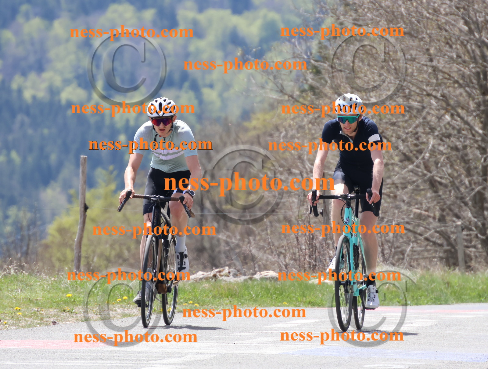 Col du Grand Colombier (233).JPG