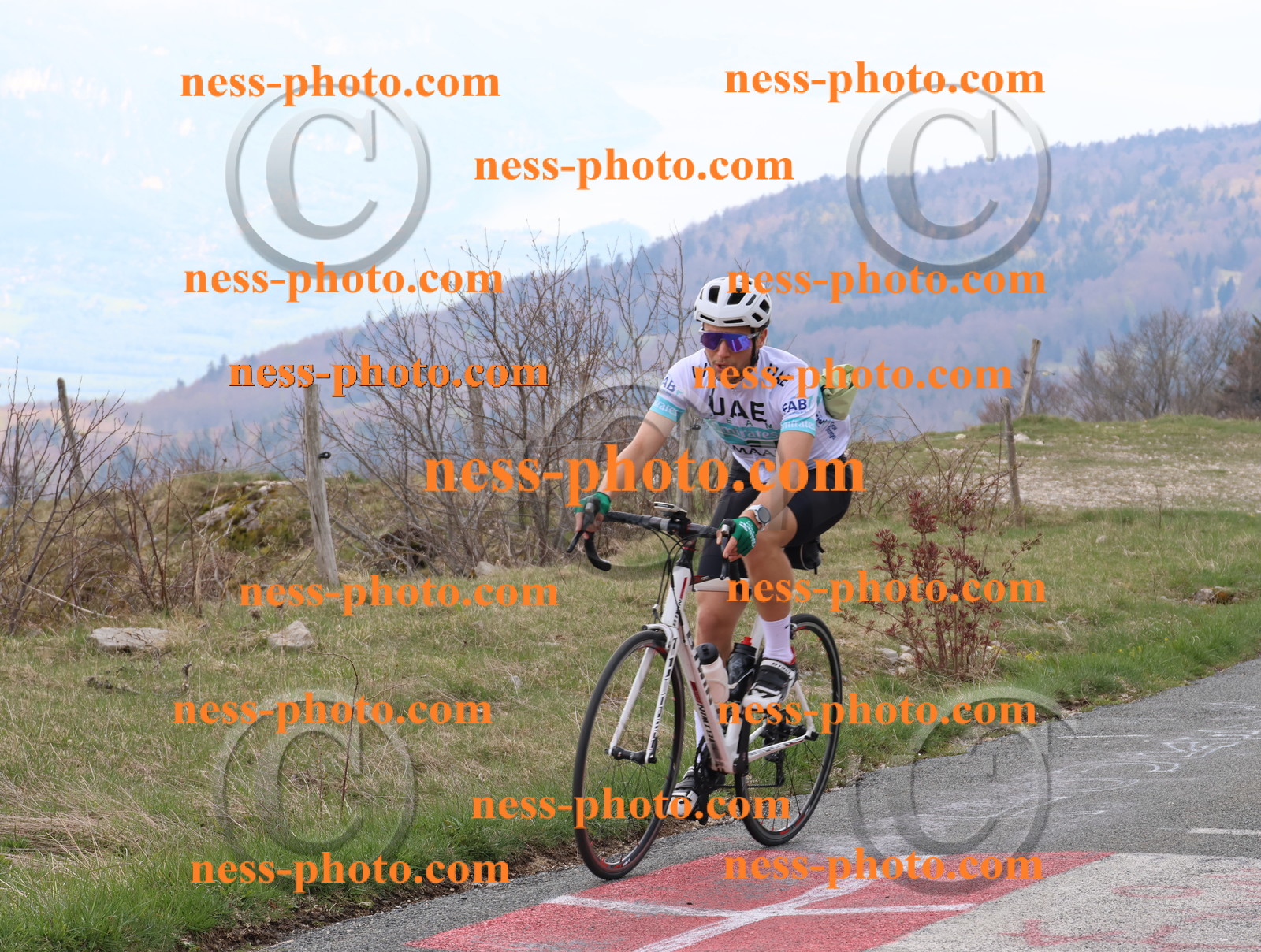 Col du Grand Colombier (148).JPG