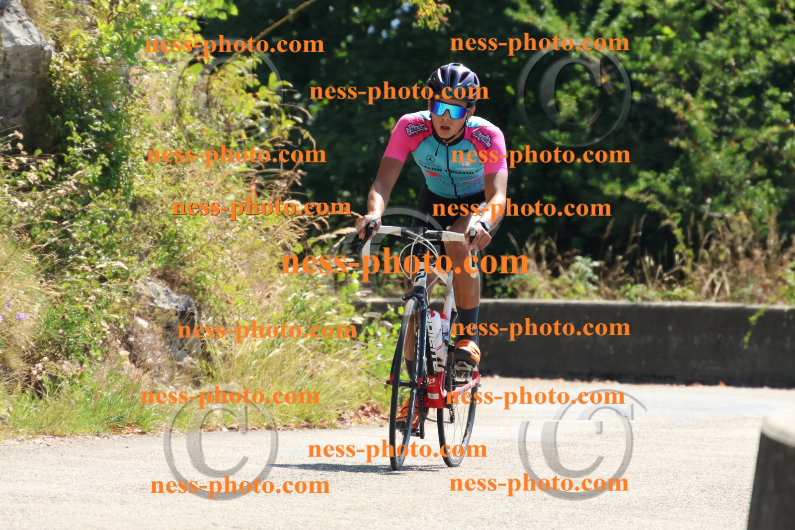 Col du Grand Colombier (271).JPG