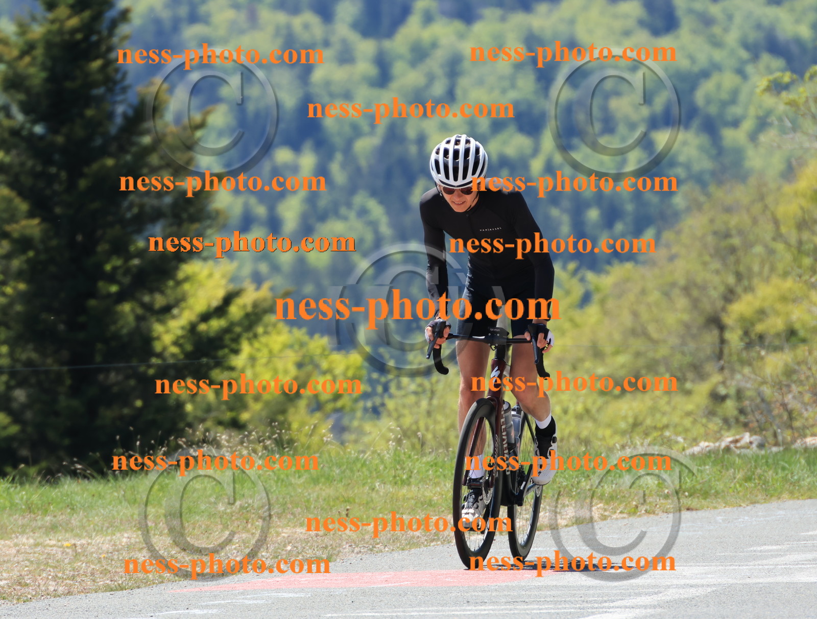 Col du Grand Colombier (143).JPG