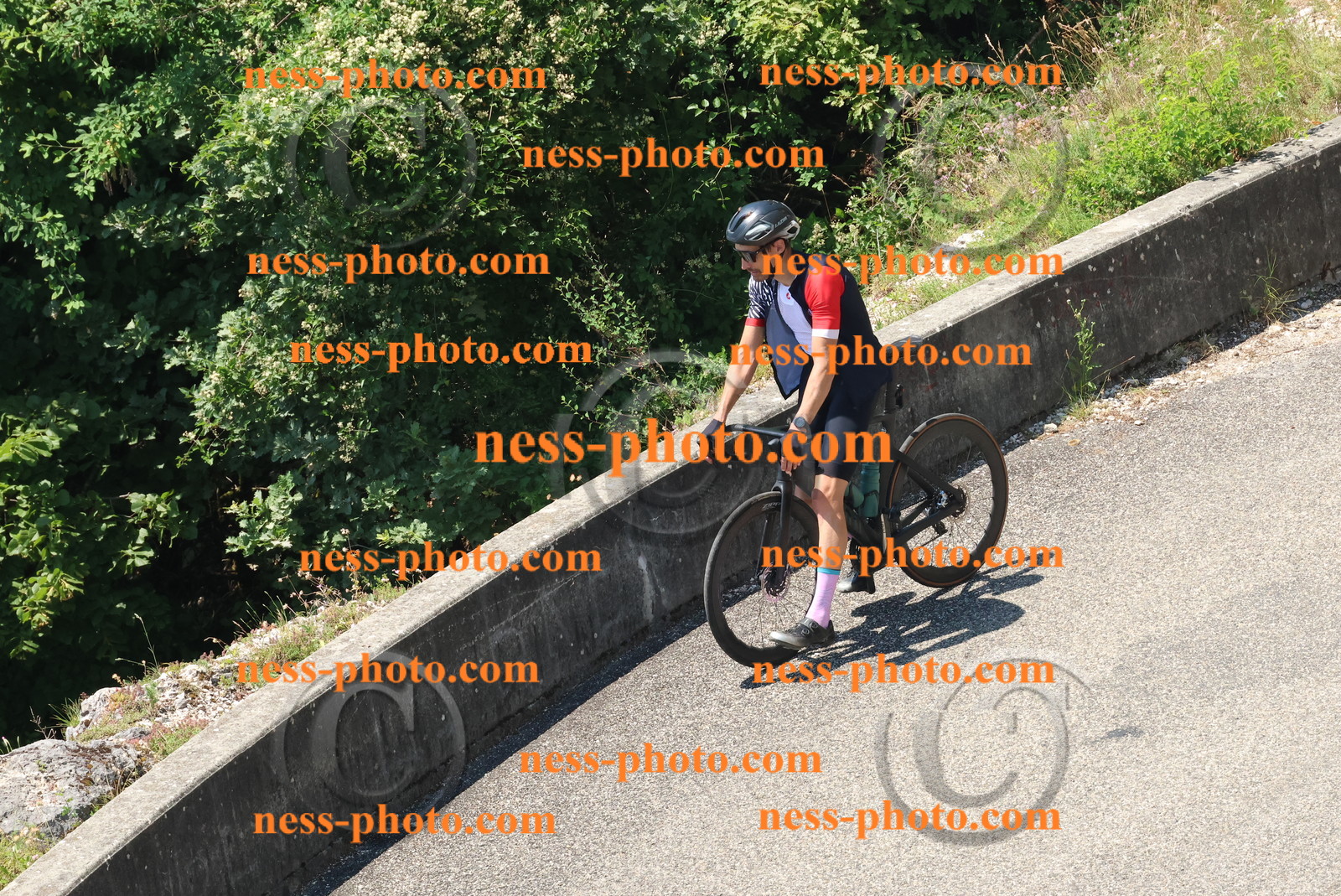 Col du Grand Colombier (489).JPG