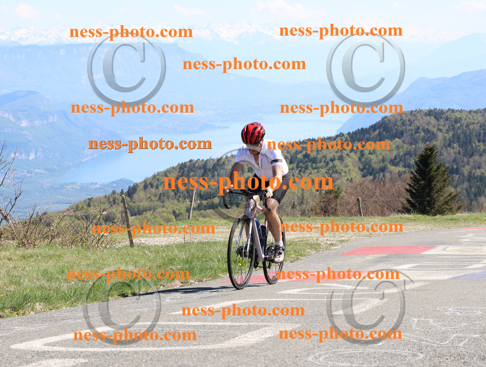 Col du Grand Colombier (987).JPG