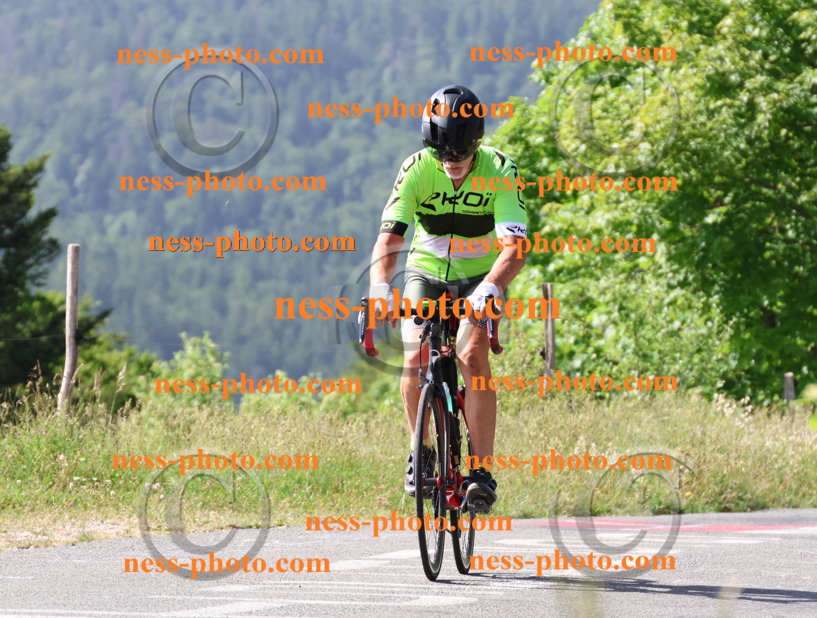 Col du grand Colombier (494).JPG