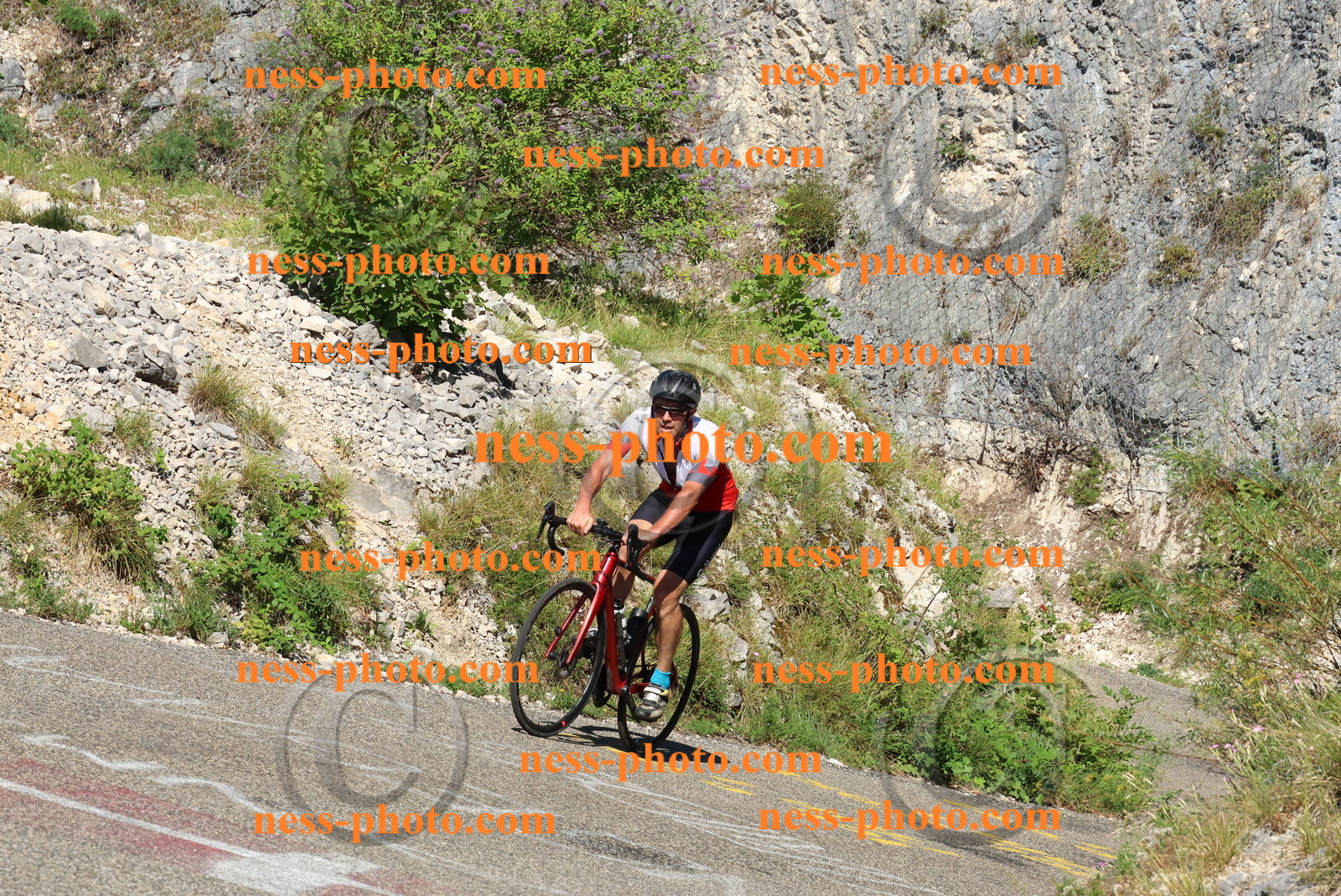 Col du Grand Colombier (217).JPG