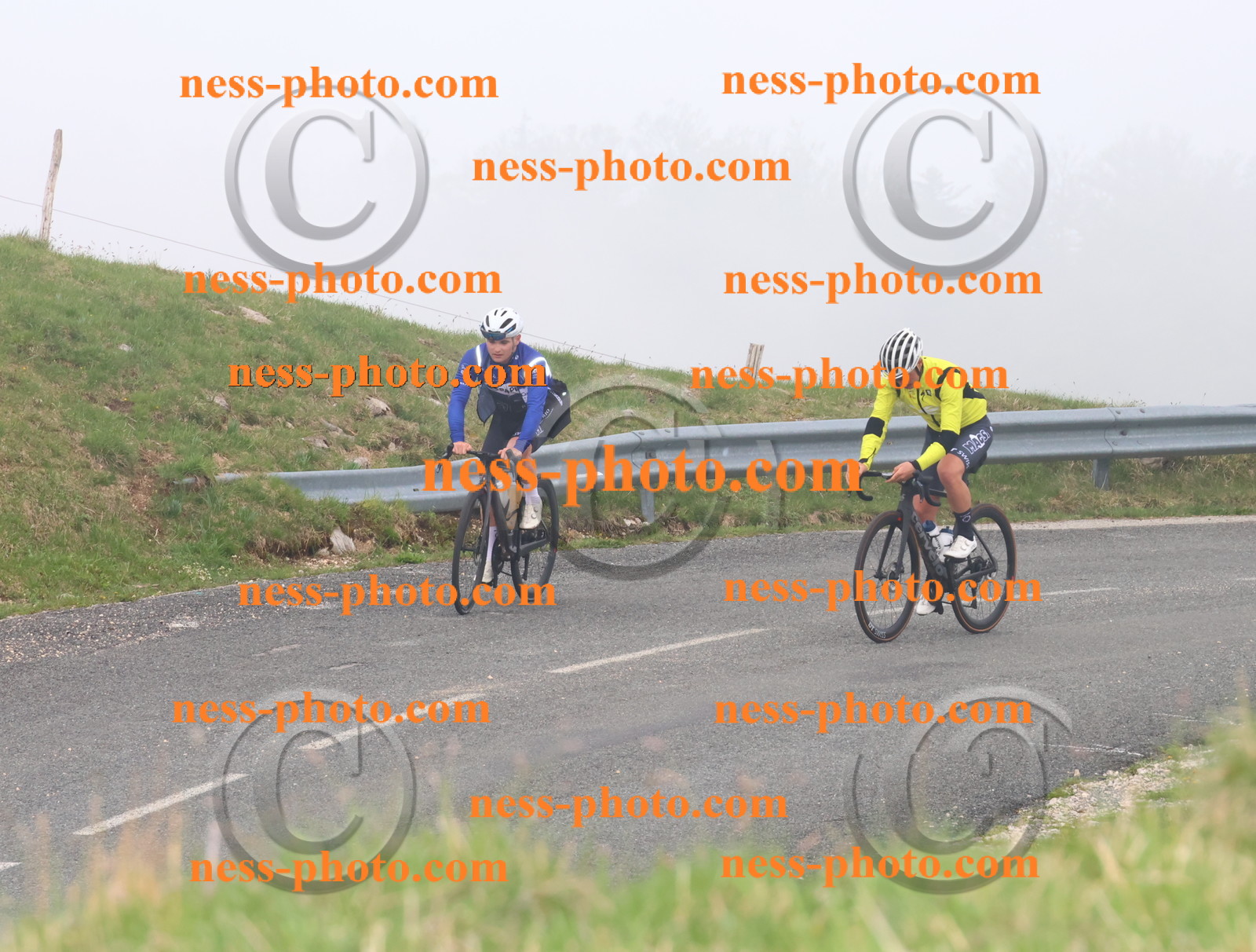 Col du Grand Colombier (352).JPG