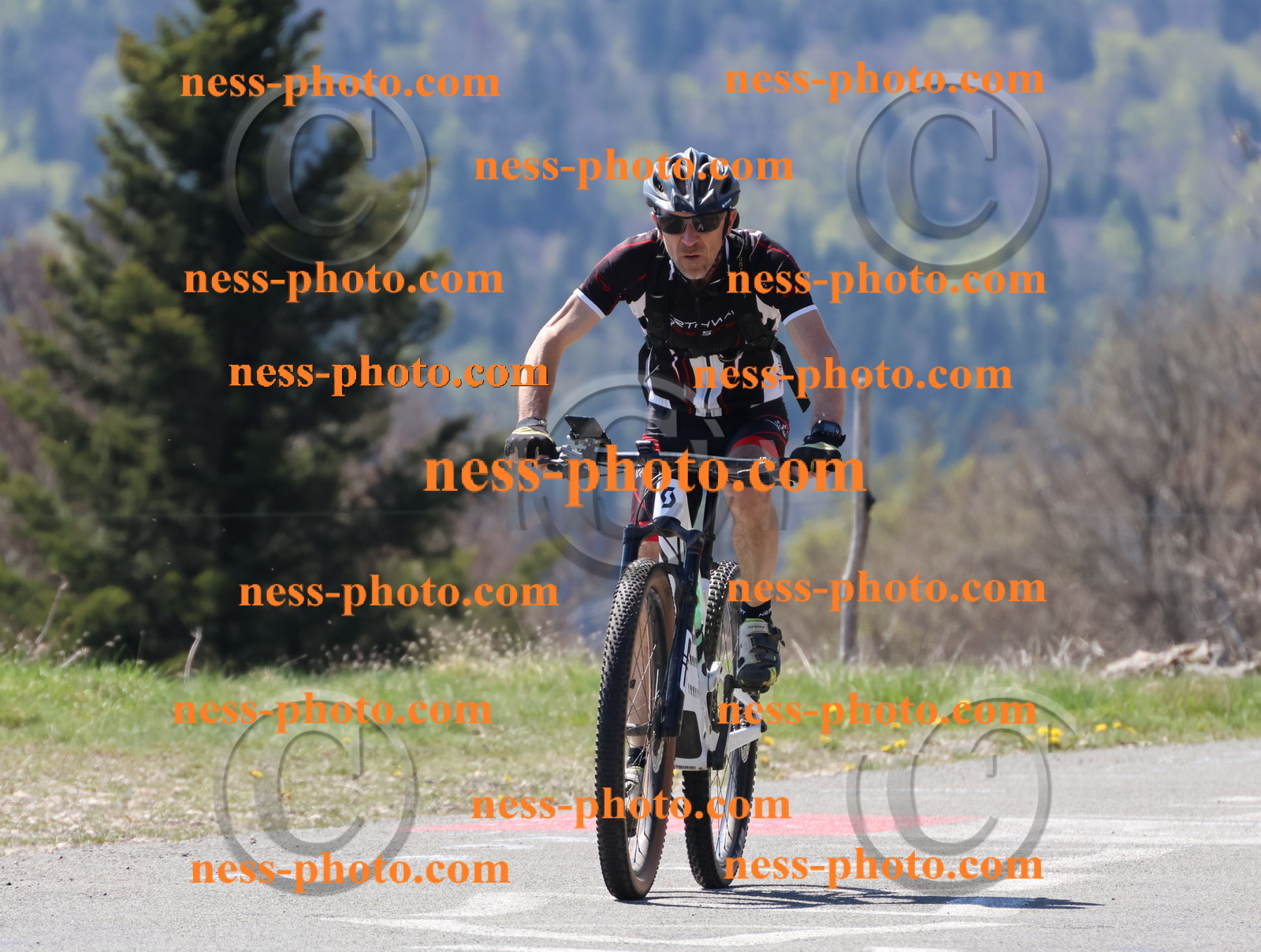 Col du Grand Colombier (186).JPG