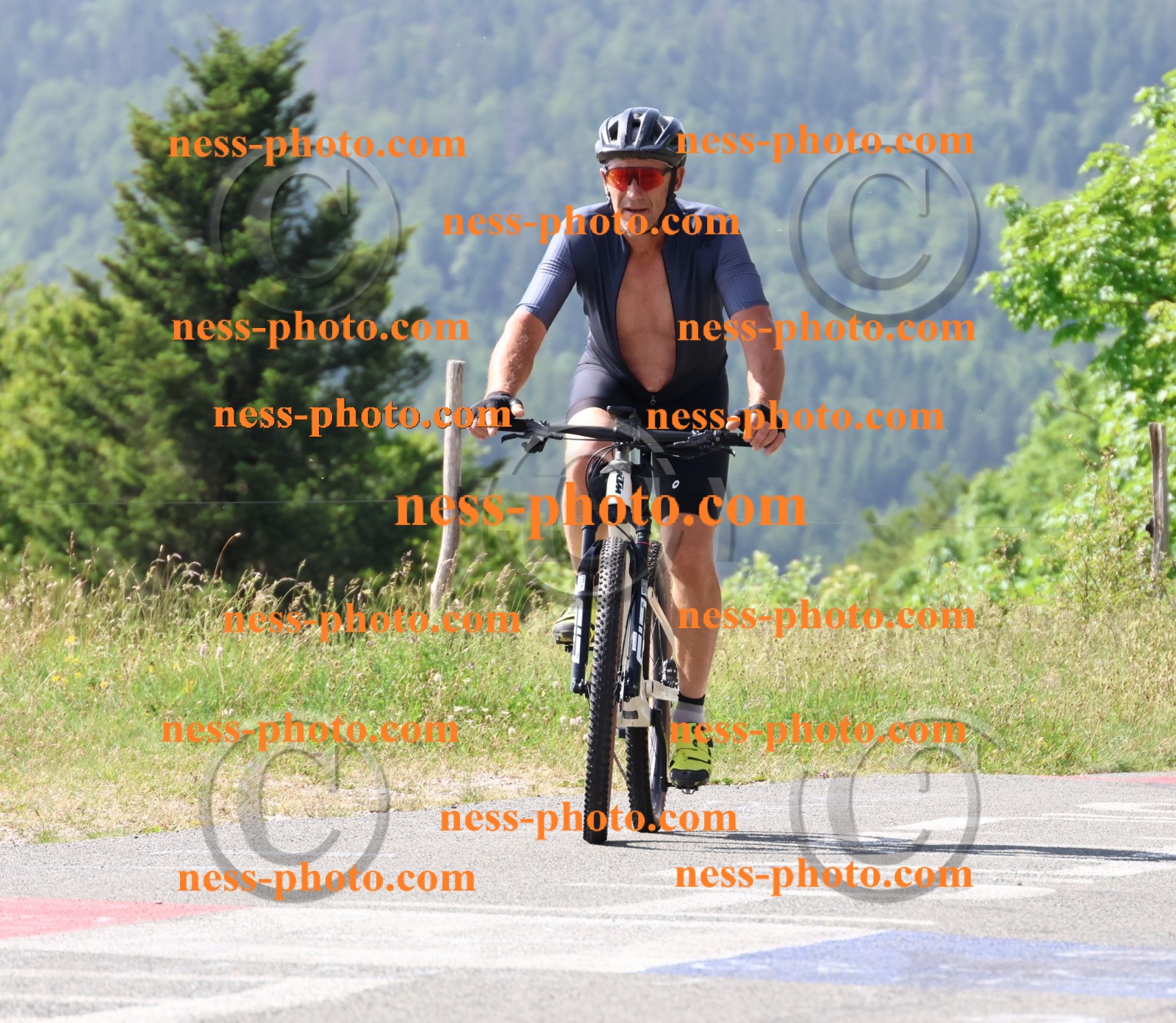 Col du grand Colombier (733).JPG