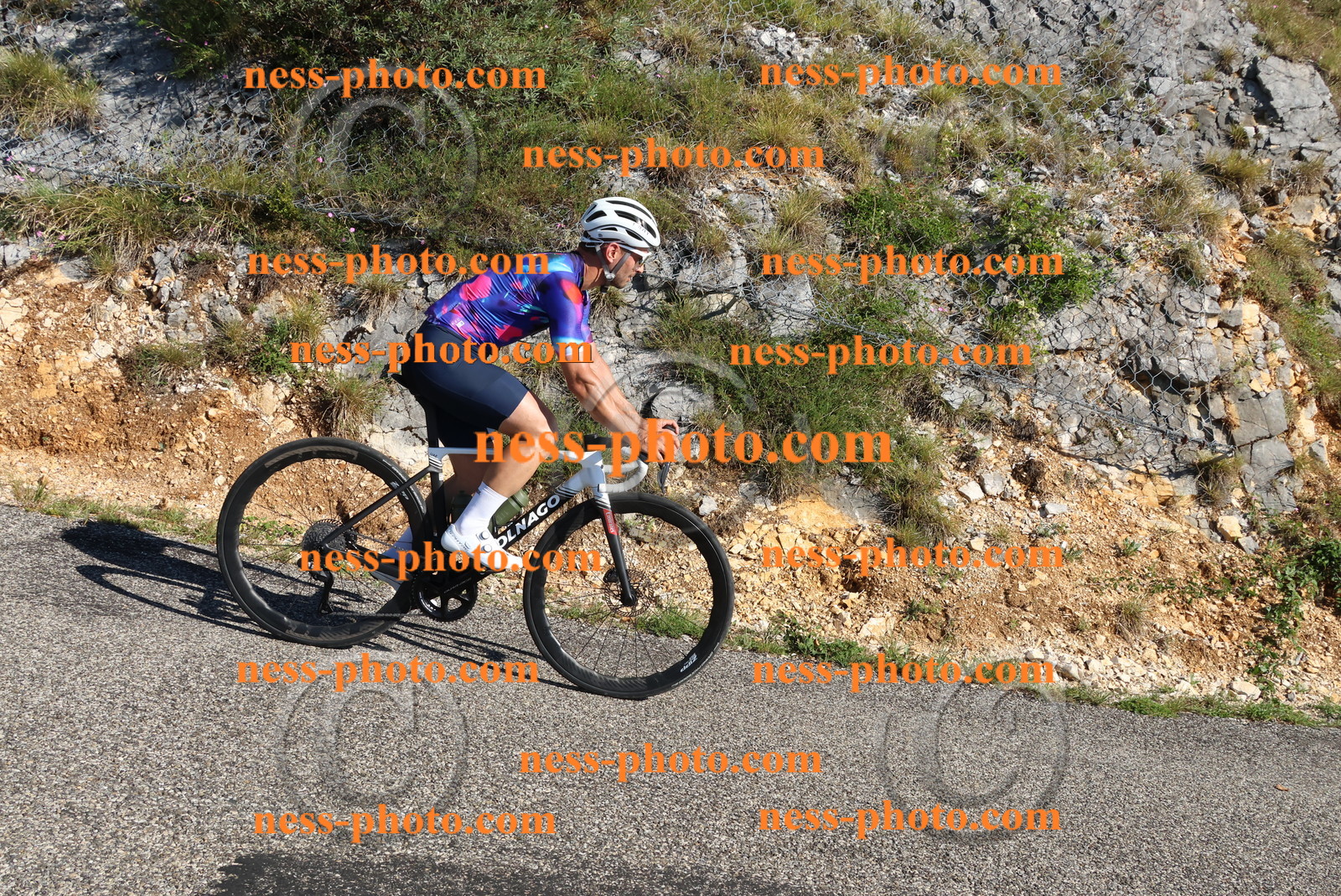 Col du Grand Colombier (188).JPG