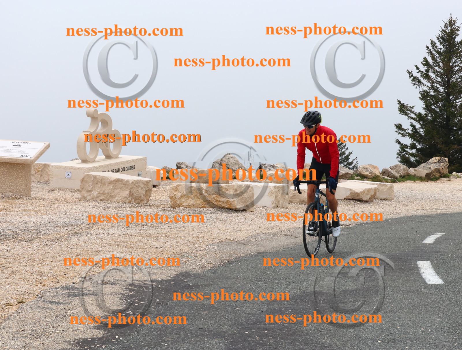 Col du Grand Colombier (494).JPG