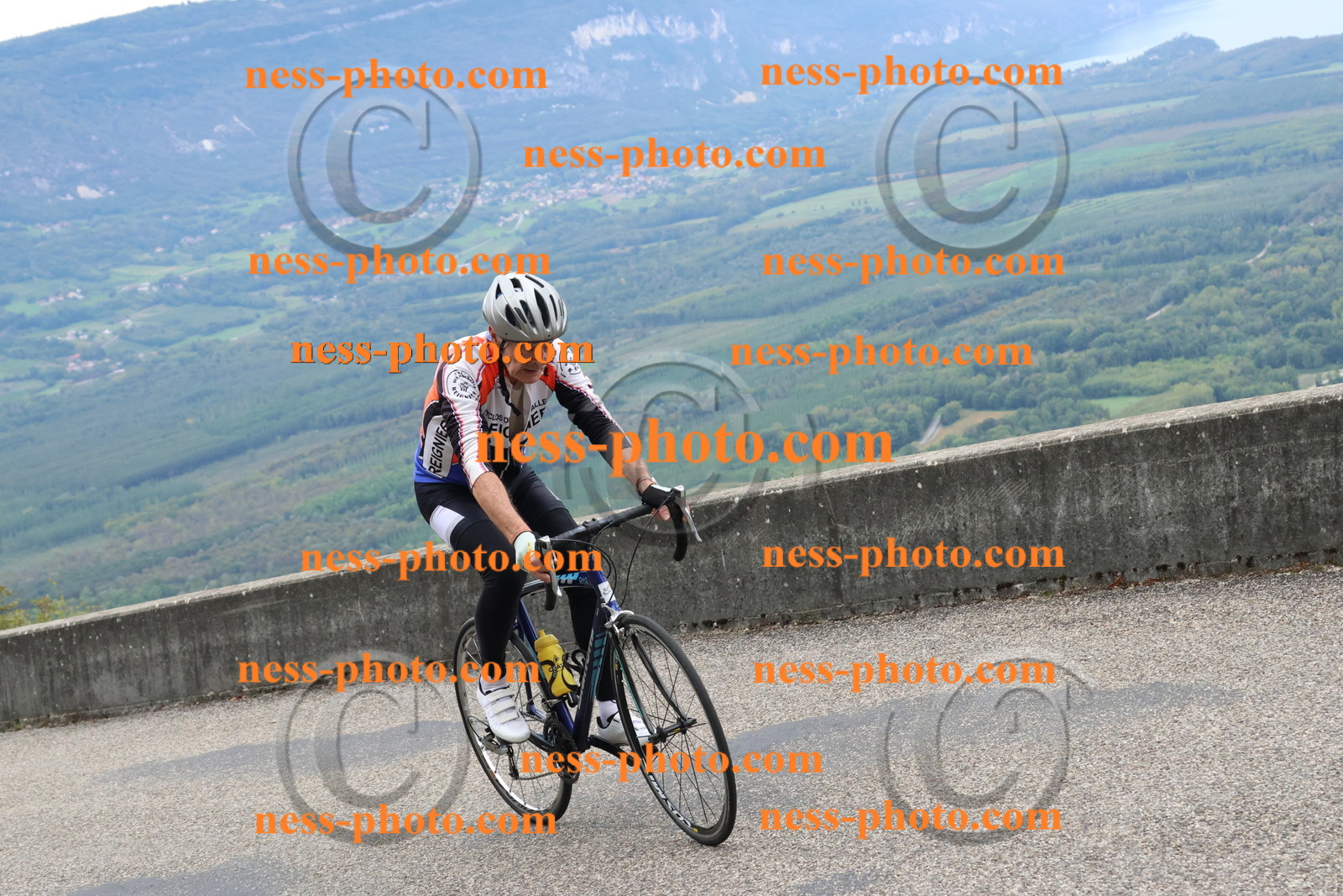 Col du Grand Colombier (2094).JPG