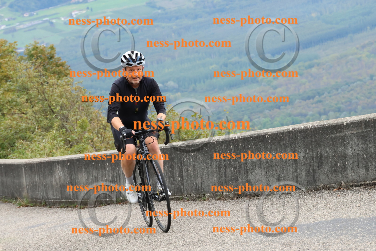 Col du Grand Colombier (1239).JPG
