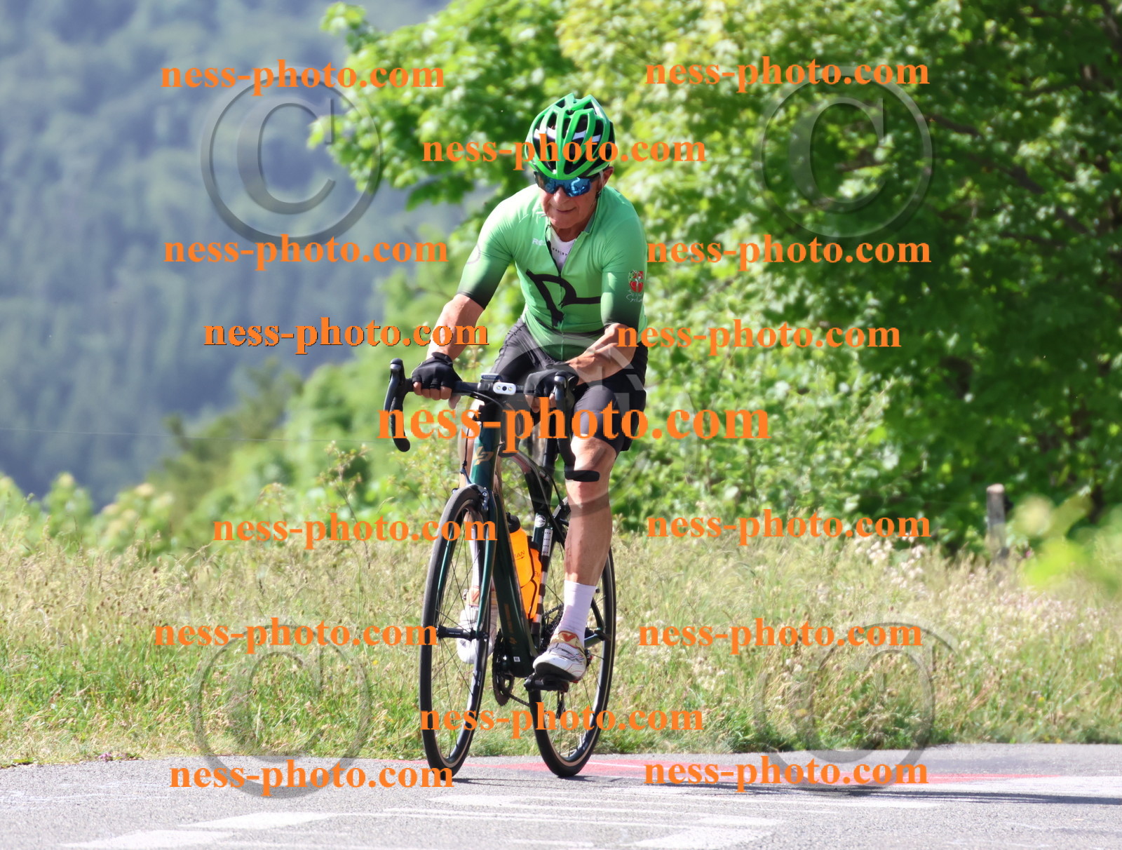 Col du grand Colombier (402).JPG