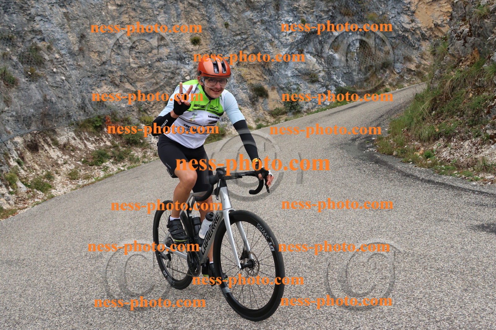 Col du Grand Colombier (430).JPG