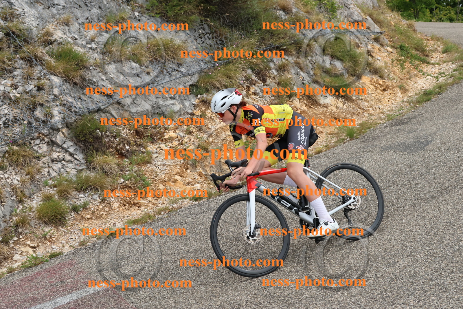 Col du Grand Colombier  (640).JPG