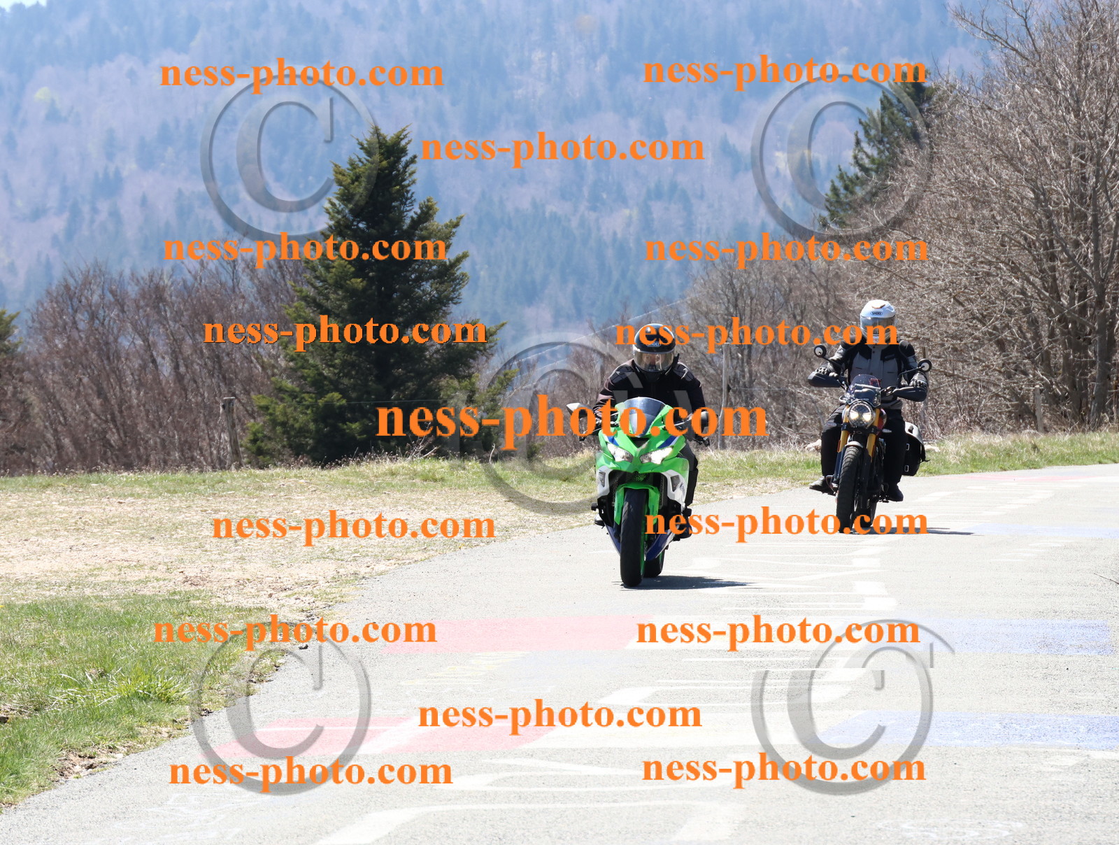 Col  du Grand Colombier (3).JPG