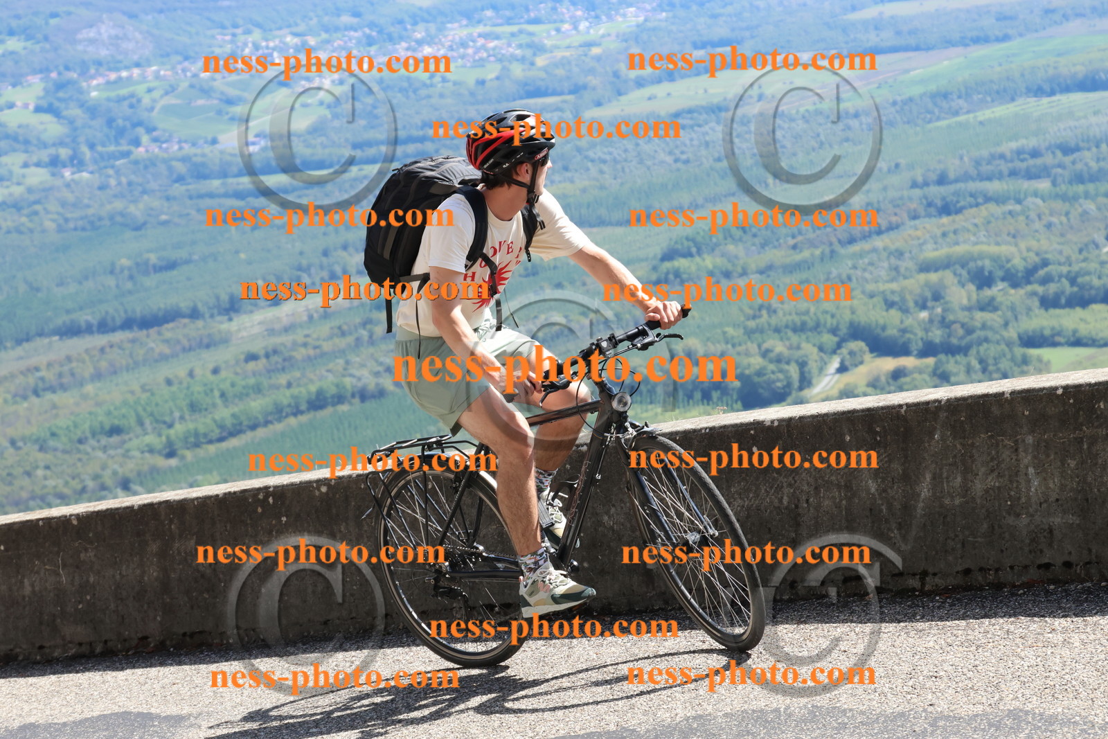 Col du Grand Colombier (737).JPG