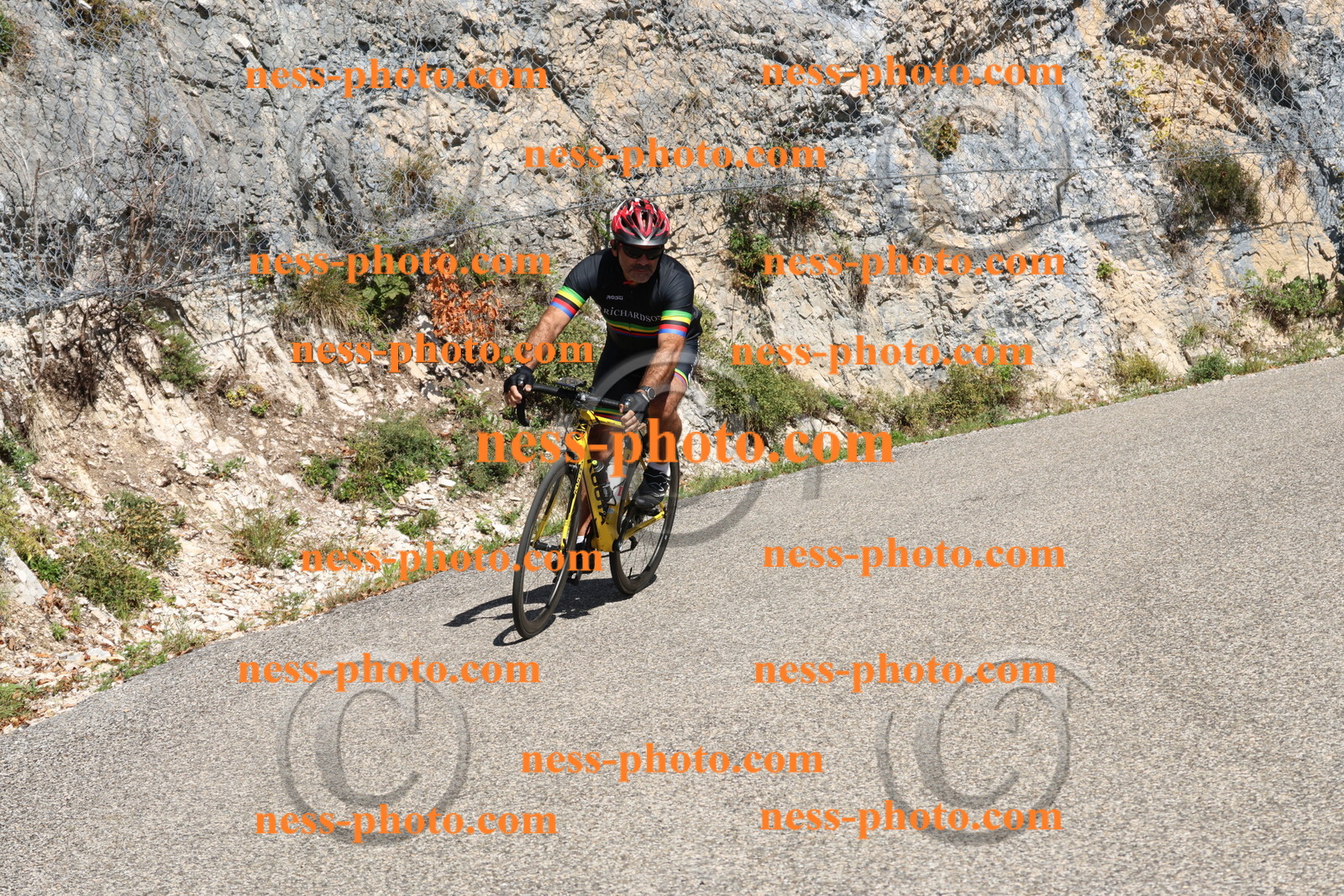 Col du Grand Colombier (406).JPG