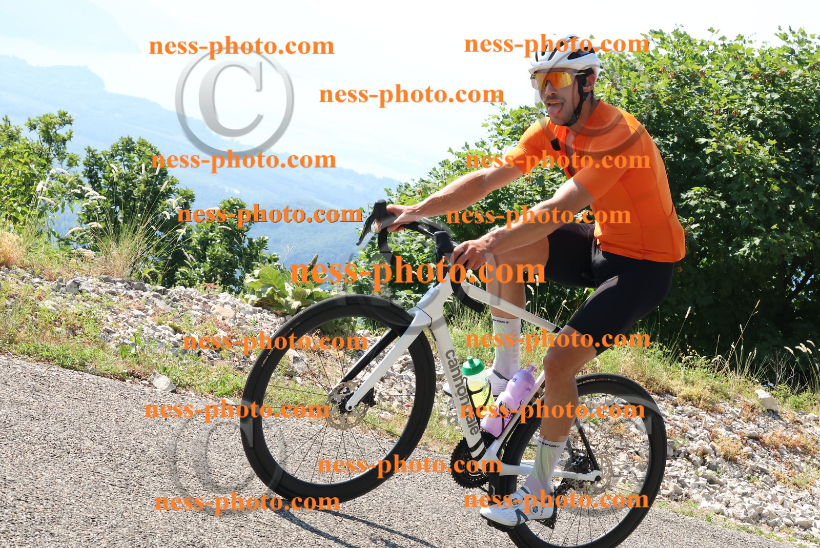 Col du Grand Colombier (223).JPG