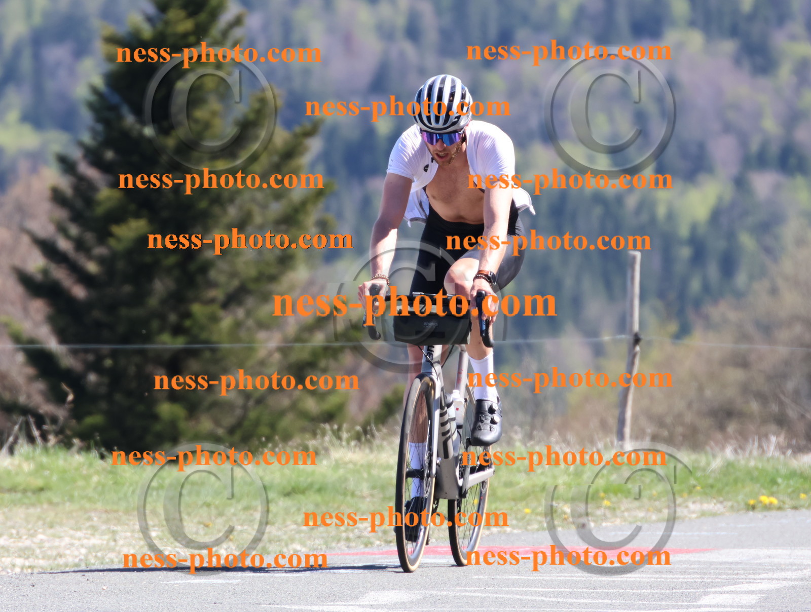 Col du Grand Colombier (1069).JPG