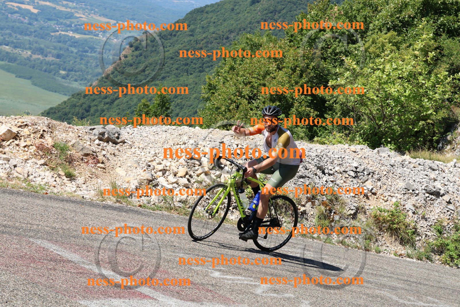 Col du Grand Colombier (2375).JPG