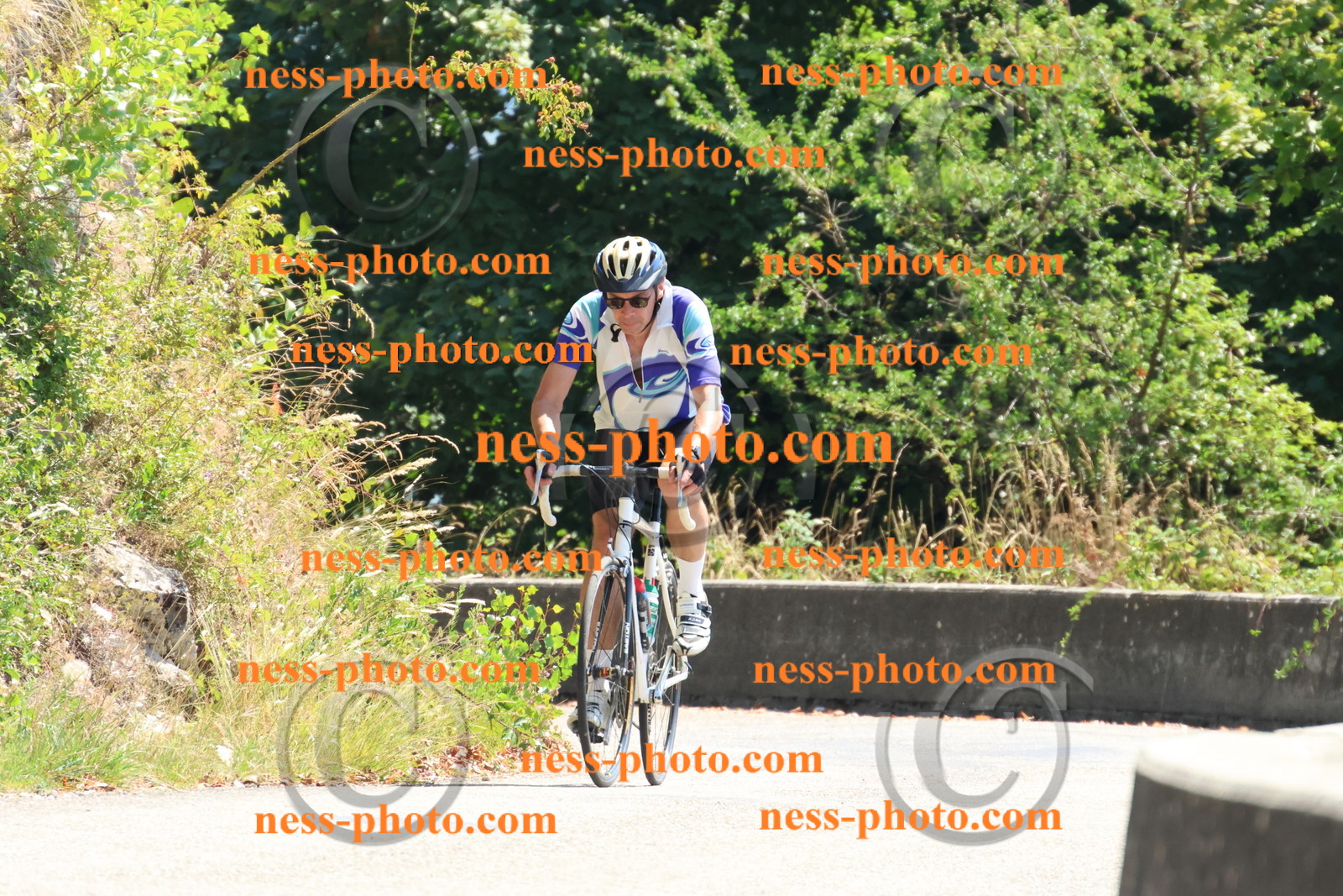 Col du Grand Colombier (408).JPG