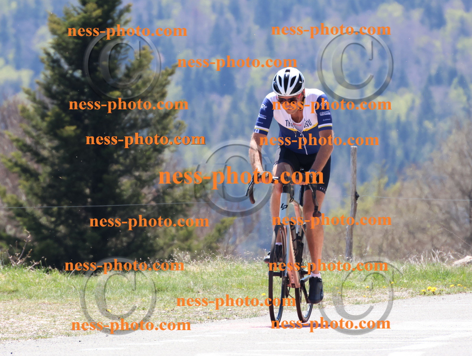 Col du Grand Colombier (503).JPG