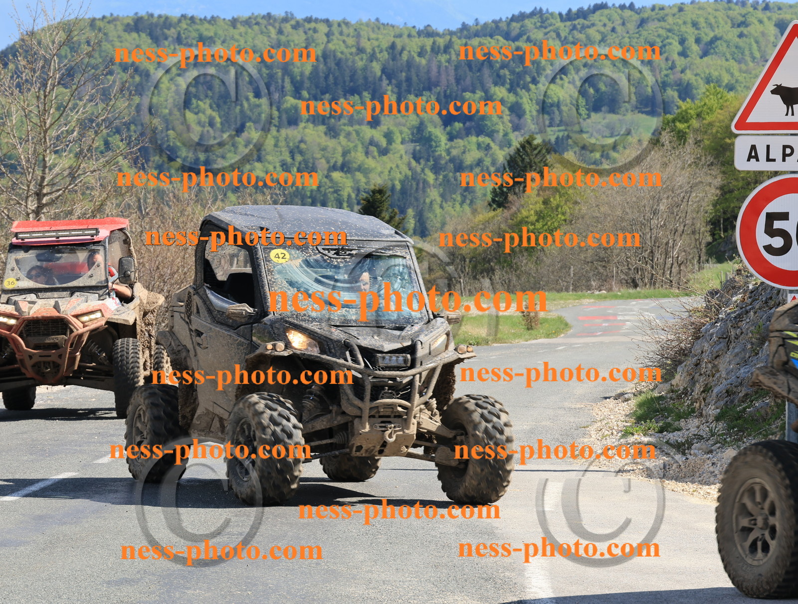 Col du Grand Colombier (223).JPG