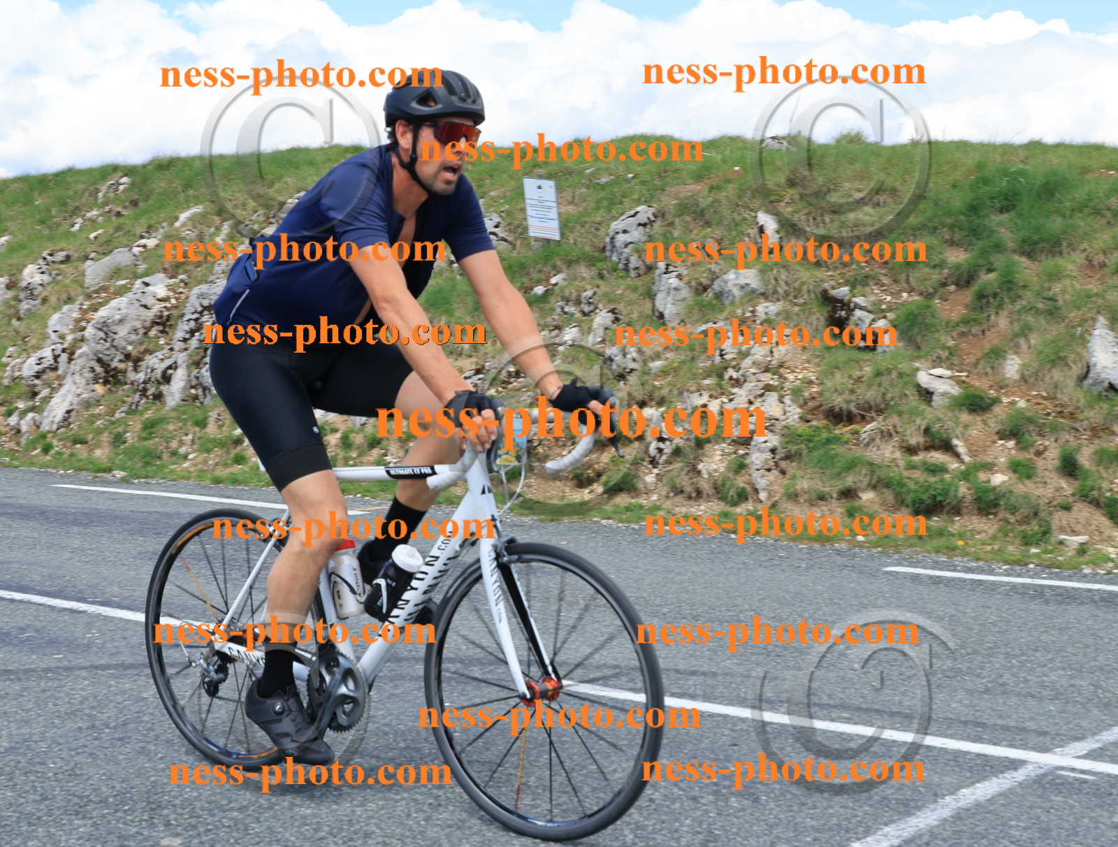 Col du Grand Colombier (2664).JPG