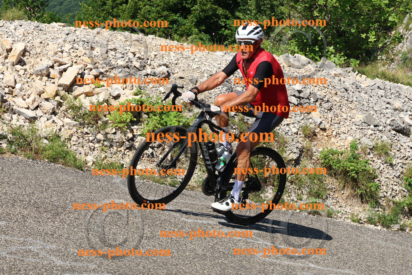 Col du Grand Colombier (232).JPG