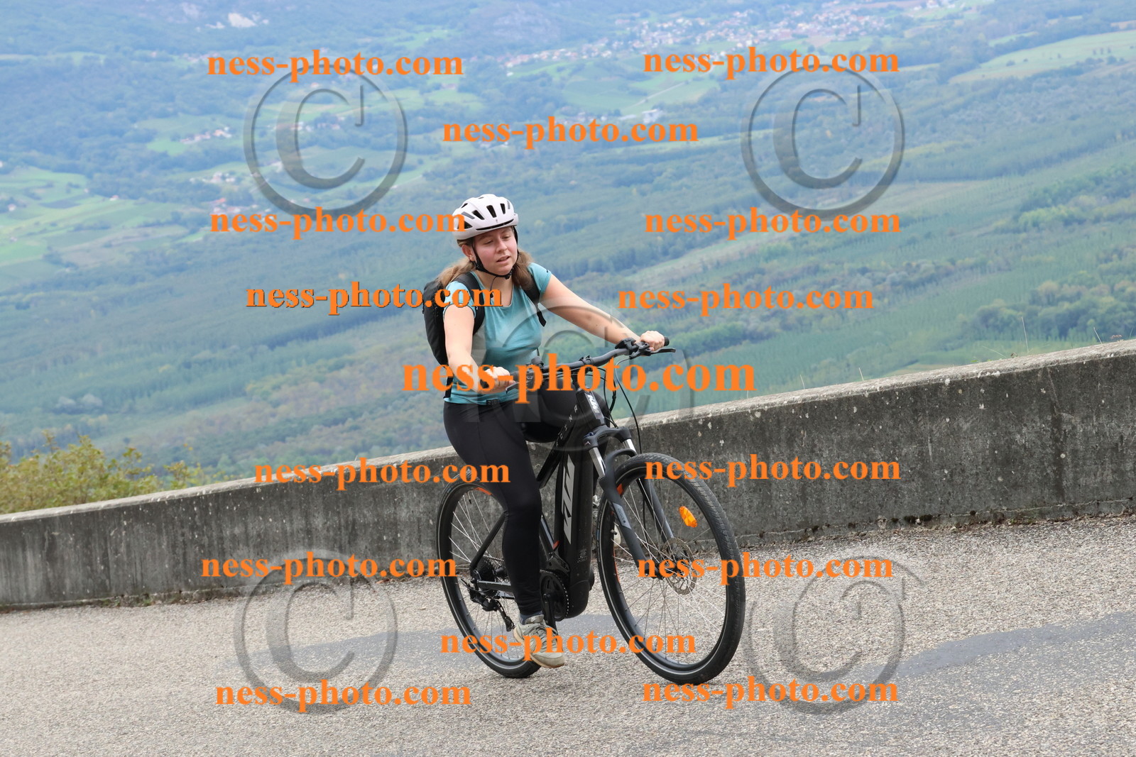 Col du Grand Colombier (2175).JPG